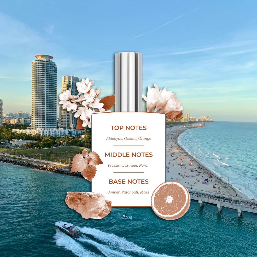 The Destination Collection - Image 4